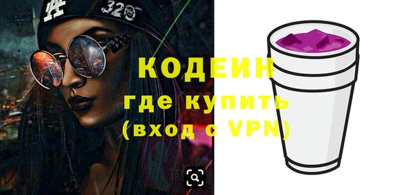 индика Богданович