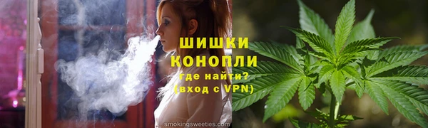 индика Богданович
